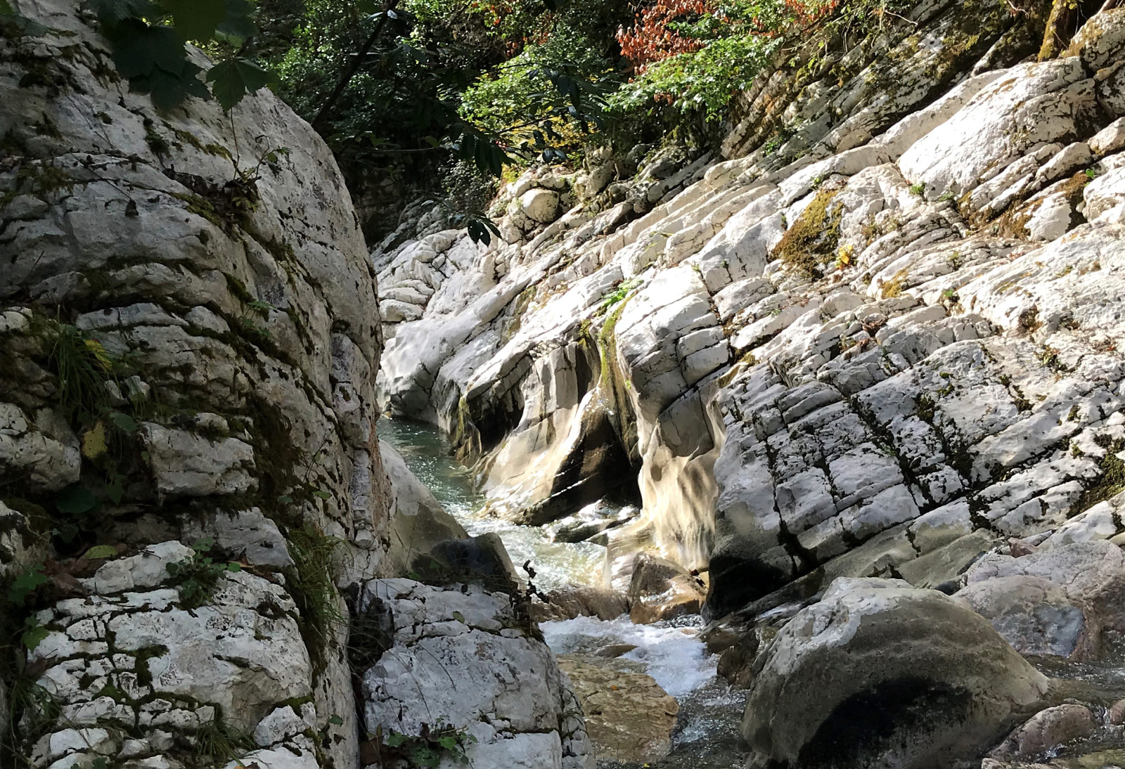 Krasnaya Polyana (Красная Поляна)